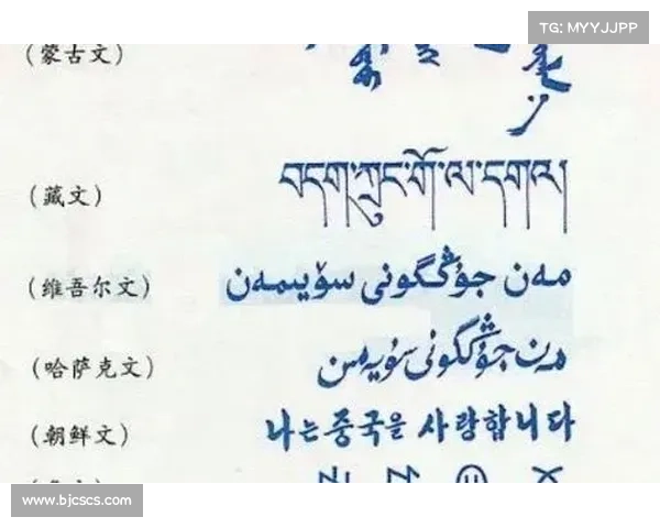 如何了解巴舒亚伊的语言背景及他所使用的主要语言